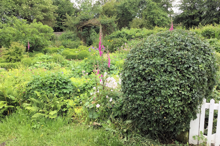 Cottage Garden  photograph